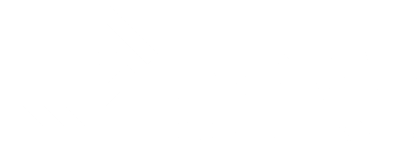 Esdras Consultants